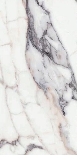 ORIGINES DE REX ARGENT GLOSSY 6MM 60X120 R