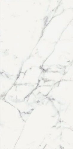 ORIGINES DE REX BLANC MATTE 60X120 RETT