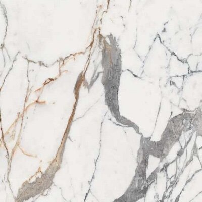 ORIGINES DE REX ARGENT GLOSSY 6MM 120X120 R
