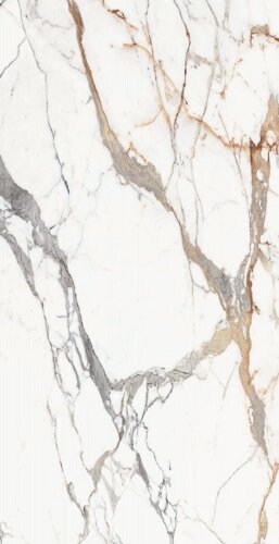 ORIGINES DE REX BLANC GLOSSY 6MM 120X280 R