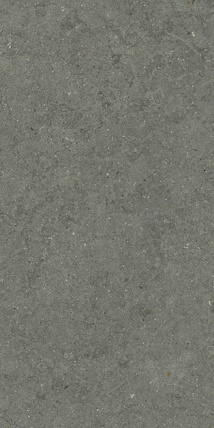 FORUM STONE IRON 60X120
