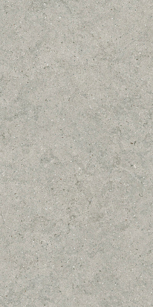 FORUM STONE SILVER 60X120