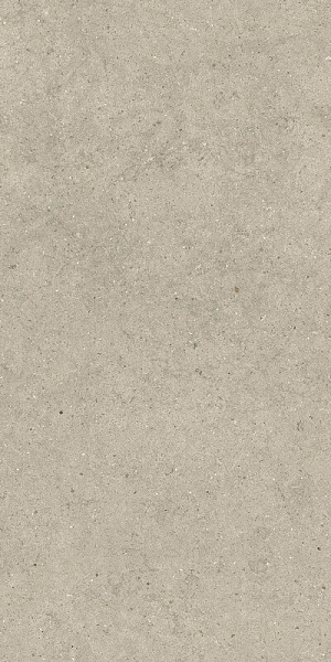 FORUM STONE DESERT 60X120